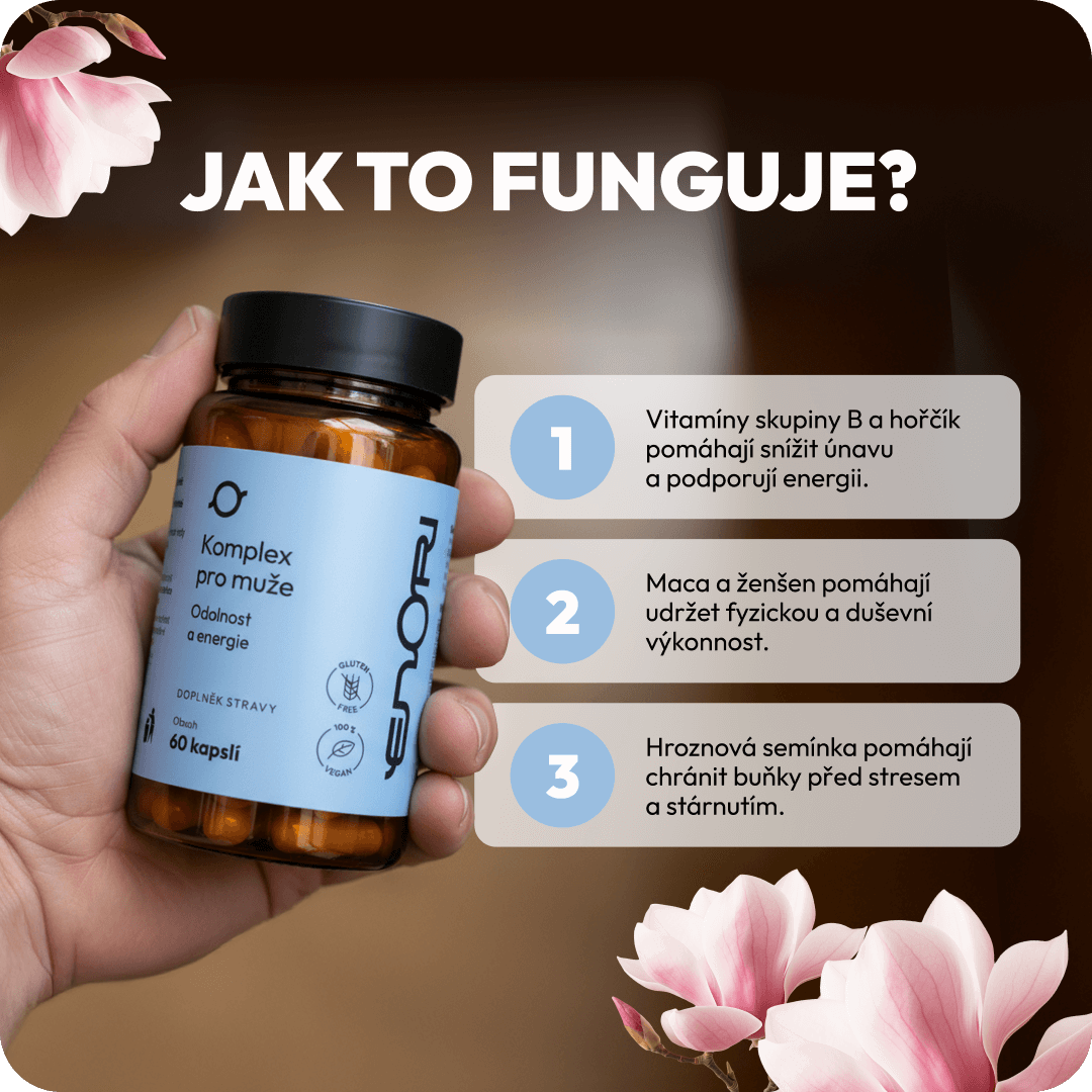 komplex-pro-muze-jak-funguje